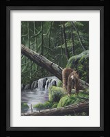 Deep Woods Fisherman Fine Art Print