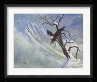 Winter Perch Fine Art Print