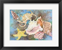 Gifts from the Sea Fine Art Print