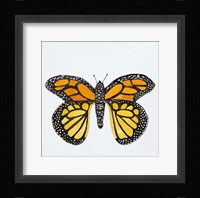 Butterfly Collection Monarch Fine Art Print