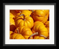 Pumpkins Fine Art Print