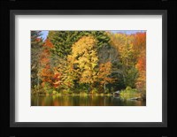 Fall 20 Fine Art Print