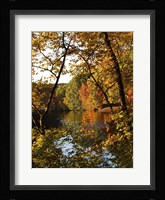 Fall 21 Fine Art Print