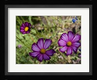 Natural Detail 48 Fine Art Print