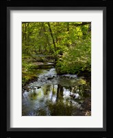 Landscape 38 Fine Art Print