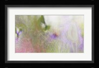 Buttonbush Fine Art Print