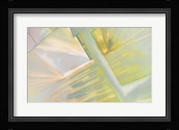 Coloring Instinct Fine Art Print