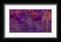 Two Years Max Fine Art Print