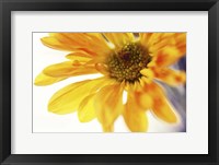 A Little Bit Sun in the Cold Time Fine Art Print