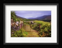 Gates on the Road at Wicklow Hills Ireland Framed Print