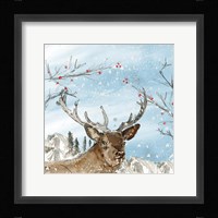 Reindeer Framed Print