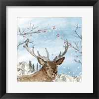 Reindeer Fine Art Print