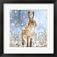 Winter Hare Fine Art Print