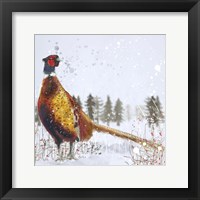 Christmas Pheasant Fine Art Print