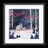Northern Lights Fine Art Print