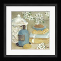 Bathroom Accessories II Framed Print
