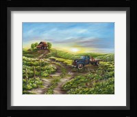 Morning Glory Fine Art Print