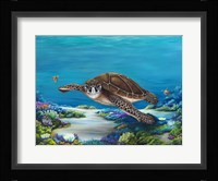Roaming Reef Fine Art Print