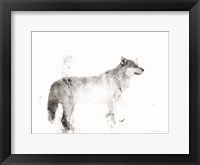 Wolf Fine Art Print