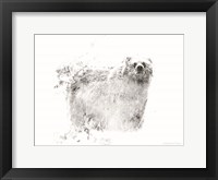 Bear Fine Art Print