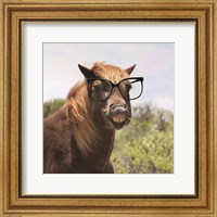Say Cheese Horse Fine Art Print