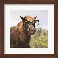 Say Cheese Horse Fine Art Print