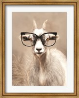 See Clearly Goat Fine Art Print