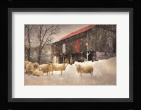 Wool Coats Fine Art Print