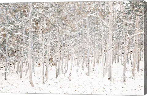 Framed White Snow Wonderland Print