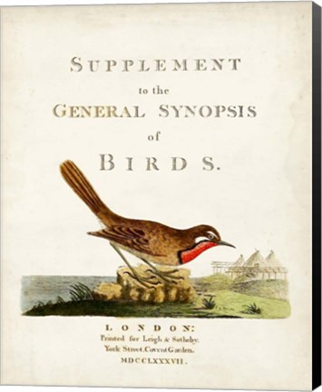 Framed General Synopsis of Birds Print
