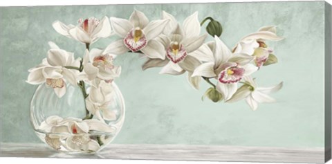 Framed Orchid Arrangement II (Celadon) Print