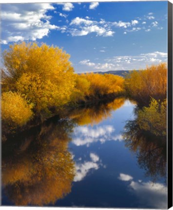 Framed Donner And Blitzen River Landscape, Oregon Print