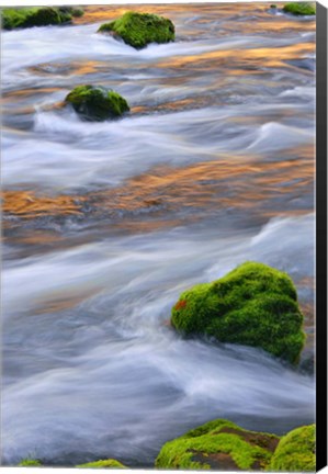 Framed Mmoss-Covered Rocks In The Mckenzie River, Oregon Print