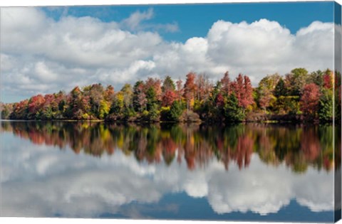 Framed Autumn Lake Reflection Of Ricketts Glen State Park, Pennsylvania Print