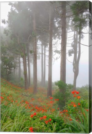 Framed Forest of The Flowers Print