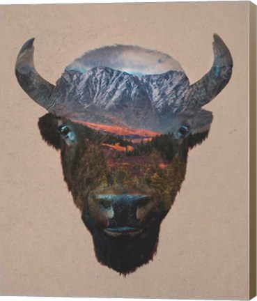 Framed Bison Peak Print