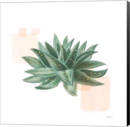 Framed Desert Color Succulent II Print