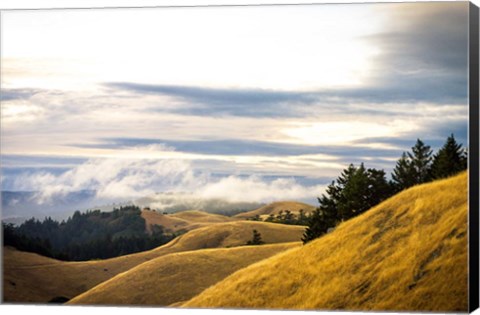 Framed By Mass Form &amp; Time Print