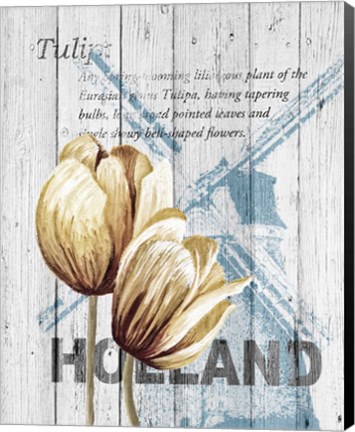 Framed Holland Tulips Print