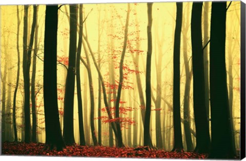 Framed Red Leaves Print