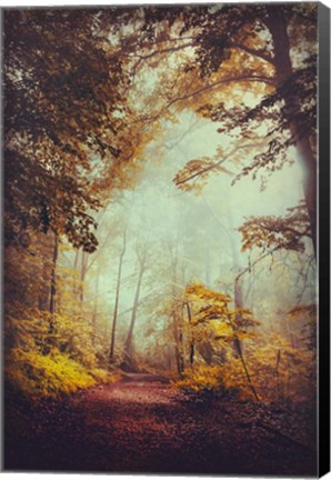 Framed Silent Forest Print