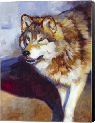 Framed Wolf Study II Print