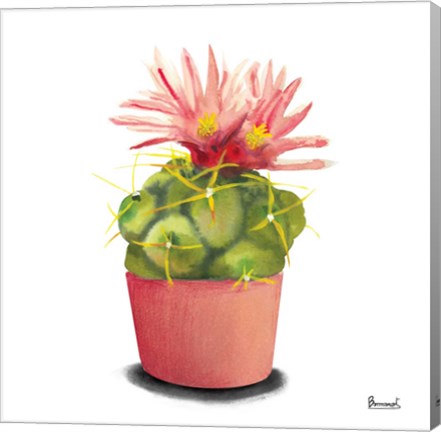 Framed Cactus Flowers I Print