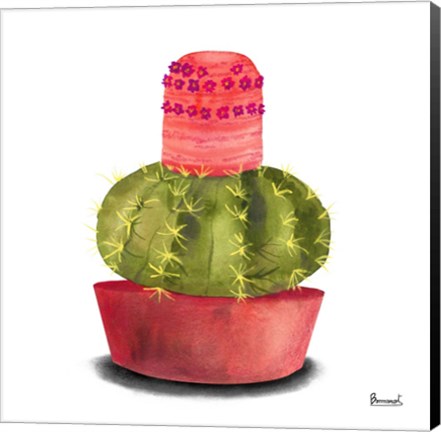Framed Cactus Flowers IV Print