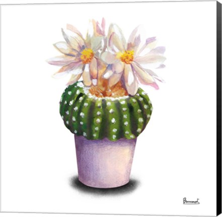 Framed Cactus Flowers IX Print