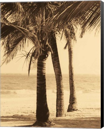 Framed Palm Beach II Print