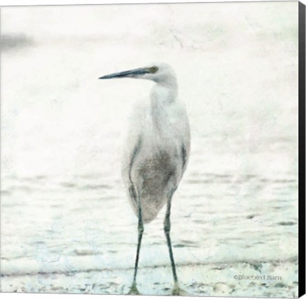 Framed Beach Heron Print