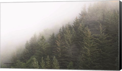 Framed Alaska Green Trees II Print