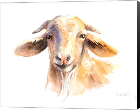 Framed Morning Goat Print
