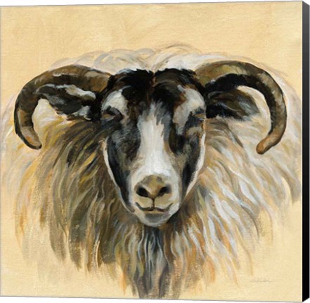 Framed Highland Animal Ram Print